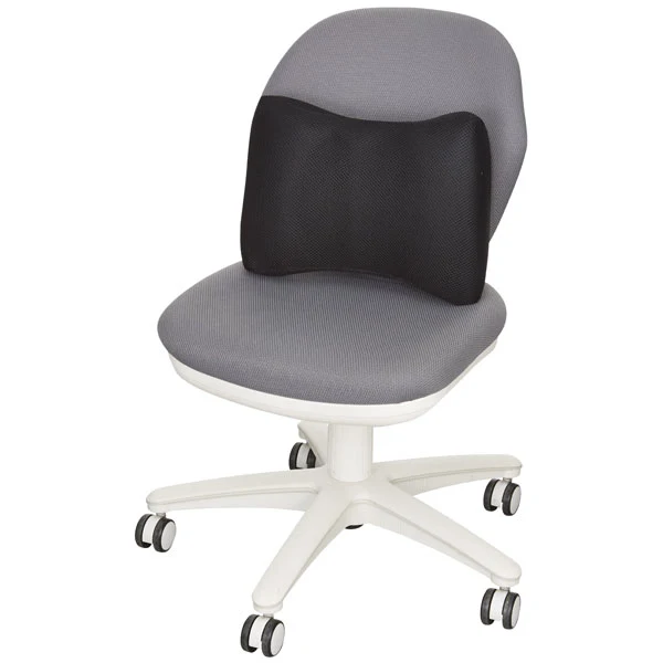 Stylish MESH LUMBAR SUPPORT CUSHION BREATHA Modern