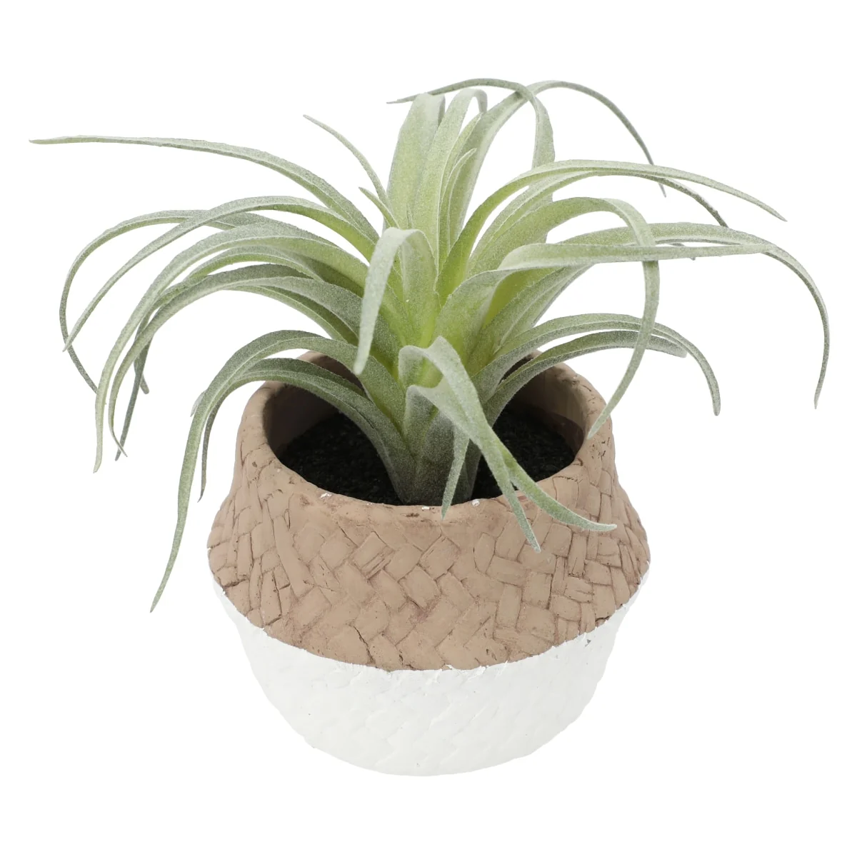 Selected AIR GRASS IN CEMENT High-End