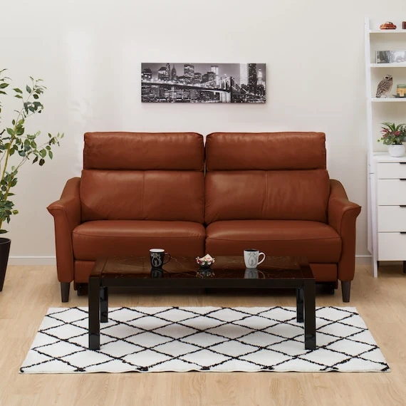 Elite 3P ELECTRIC SOFA CHERRYB SK BR Versatile