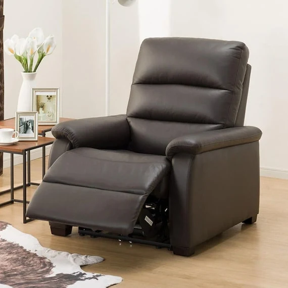 Eco-Friendly 1 SEAT RECLINER SOFA N-BELIEVA DBR LEATHER Environmentally Friendly
