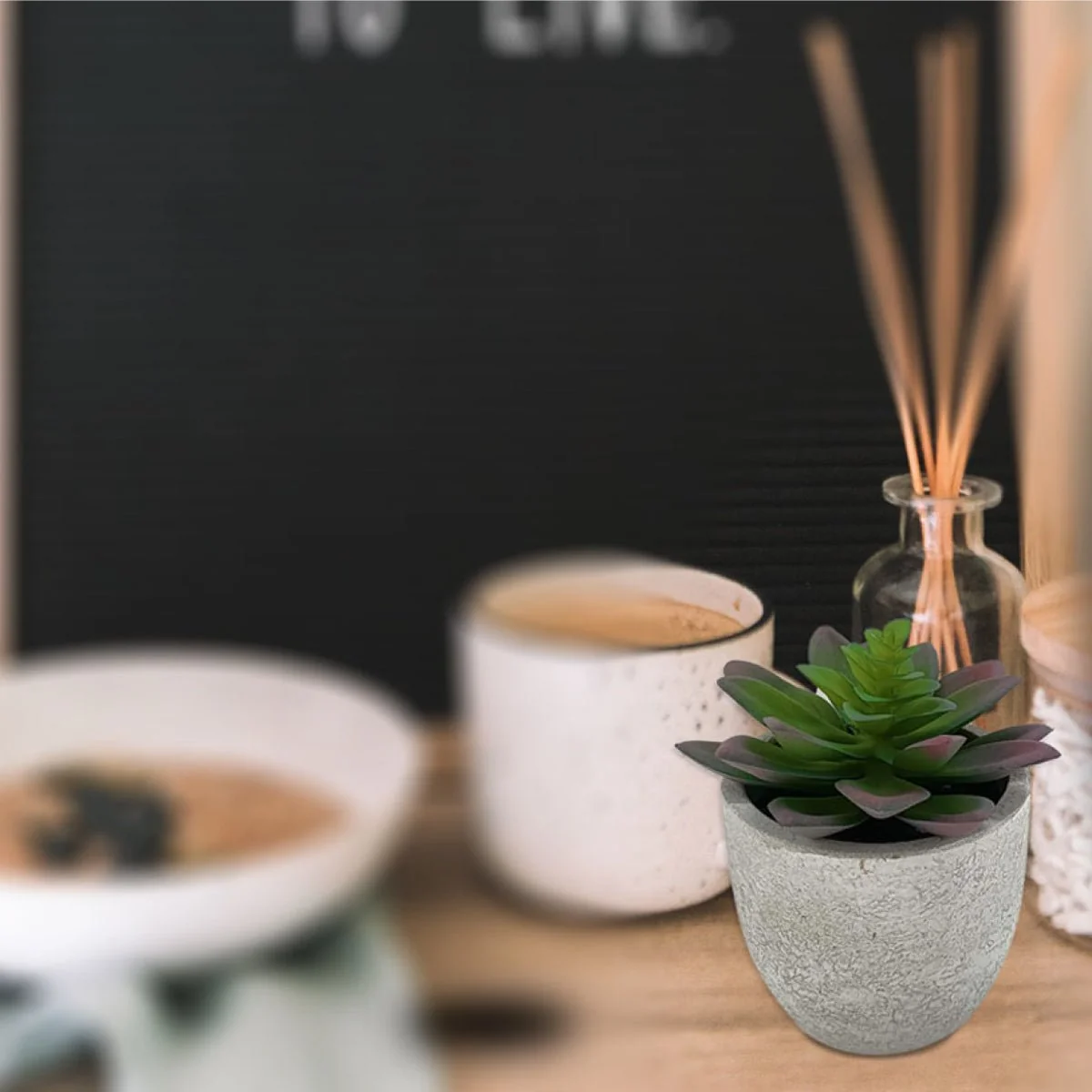 Genuine Succulent Cement Pot 10×11.5 Dependable