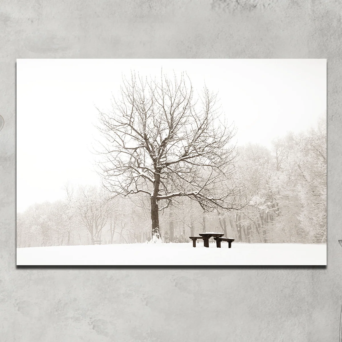 Pure Printed Canvas 60 x 90 cm Winter Tree Scene Lightweight