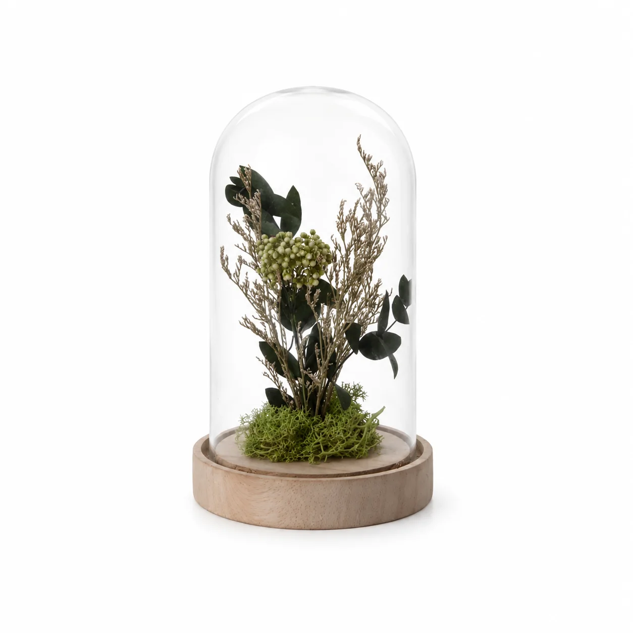 Sophisticated Lauren Taylor – Dried Flowers In Cloche Organic