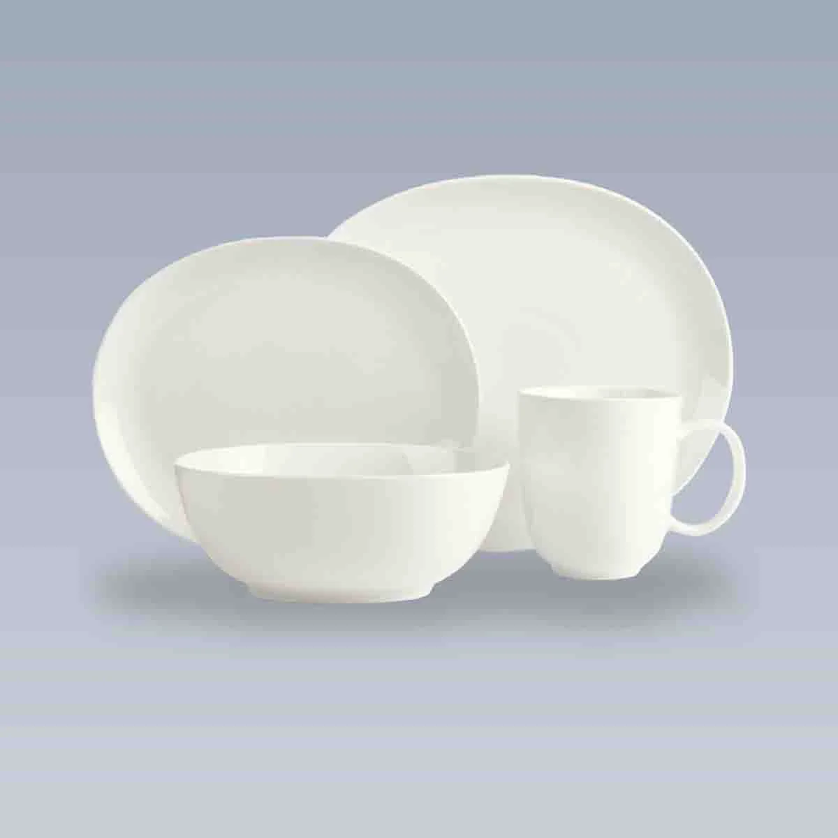User-Friendly Oval 16pc Dinnerware Set Contemporary