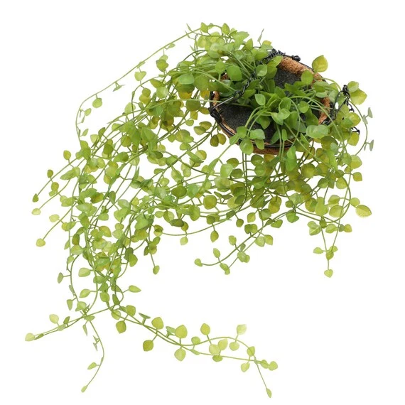 Casual HEART SHAPE LEAVES IN HANGING METAL BOWL Fashionable