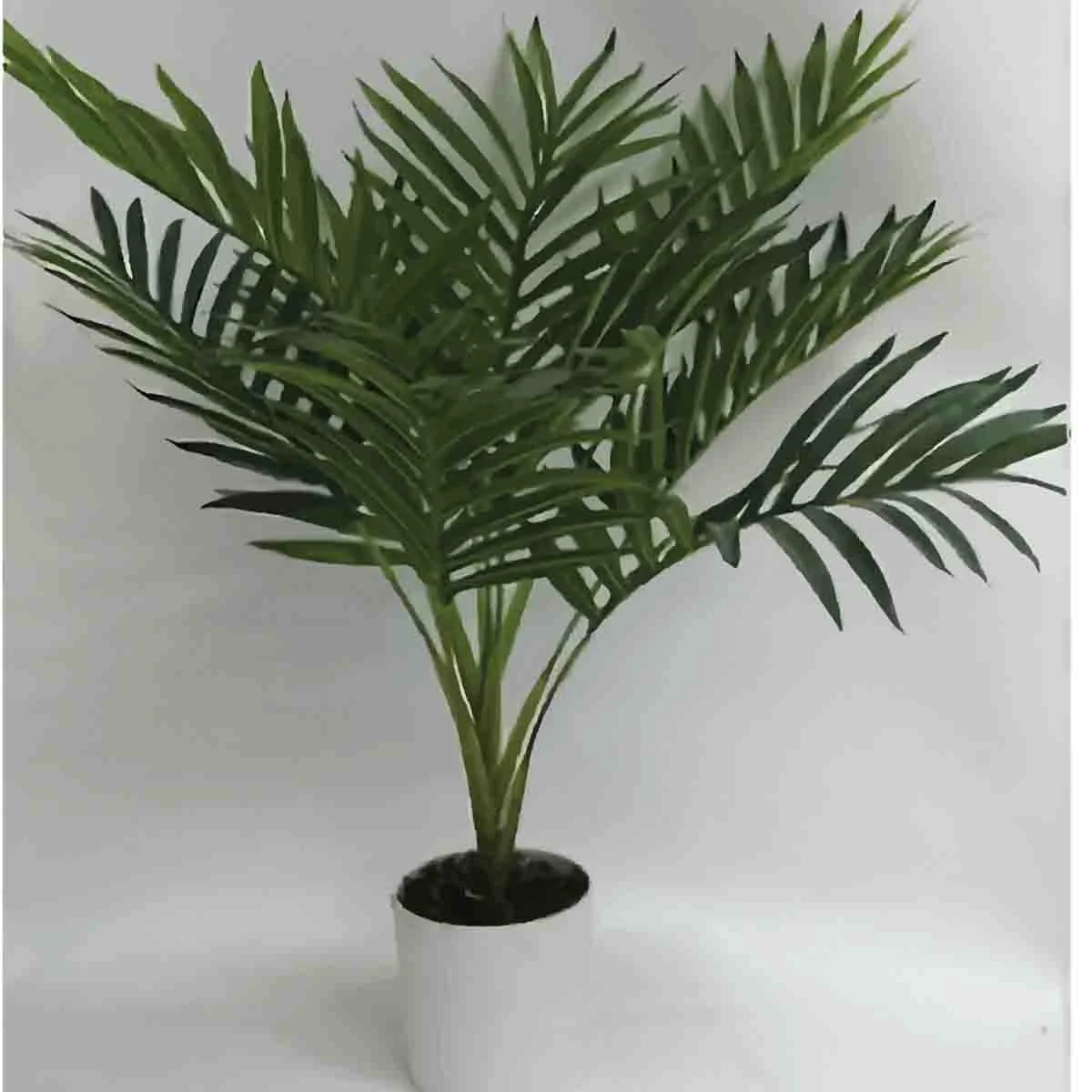 Environmentally Friendly Palm Leave Plant in white Pot Stylish