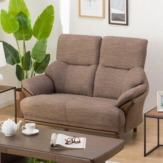 Practical 2 SEAT SOFA KOTEI3-HD DR-DMO Effective