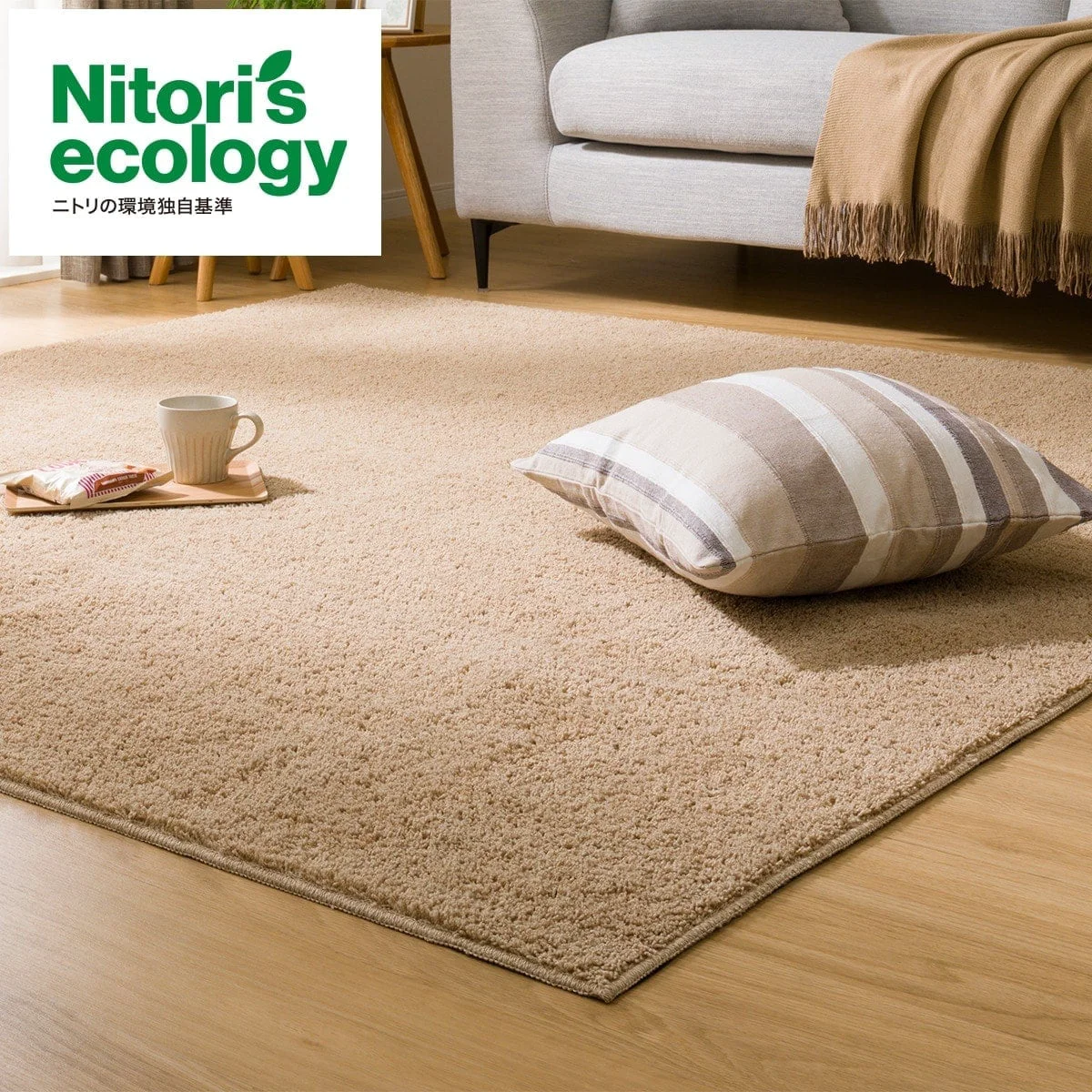 Detailed RUG N CLEAN WASH LBE 185X185 Reusable