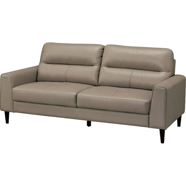 Professional 3P SOFA SW01 MO Easy-to-Use