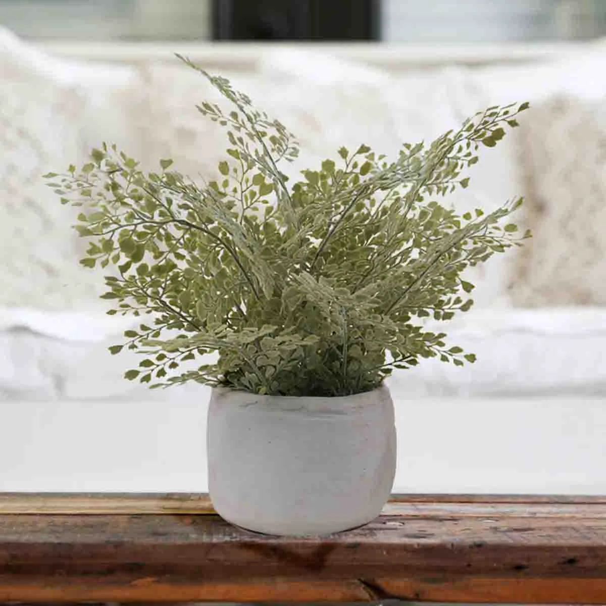 Solid Artificial Fern in White Cement Pot Professional