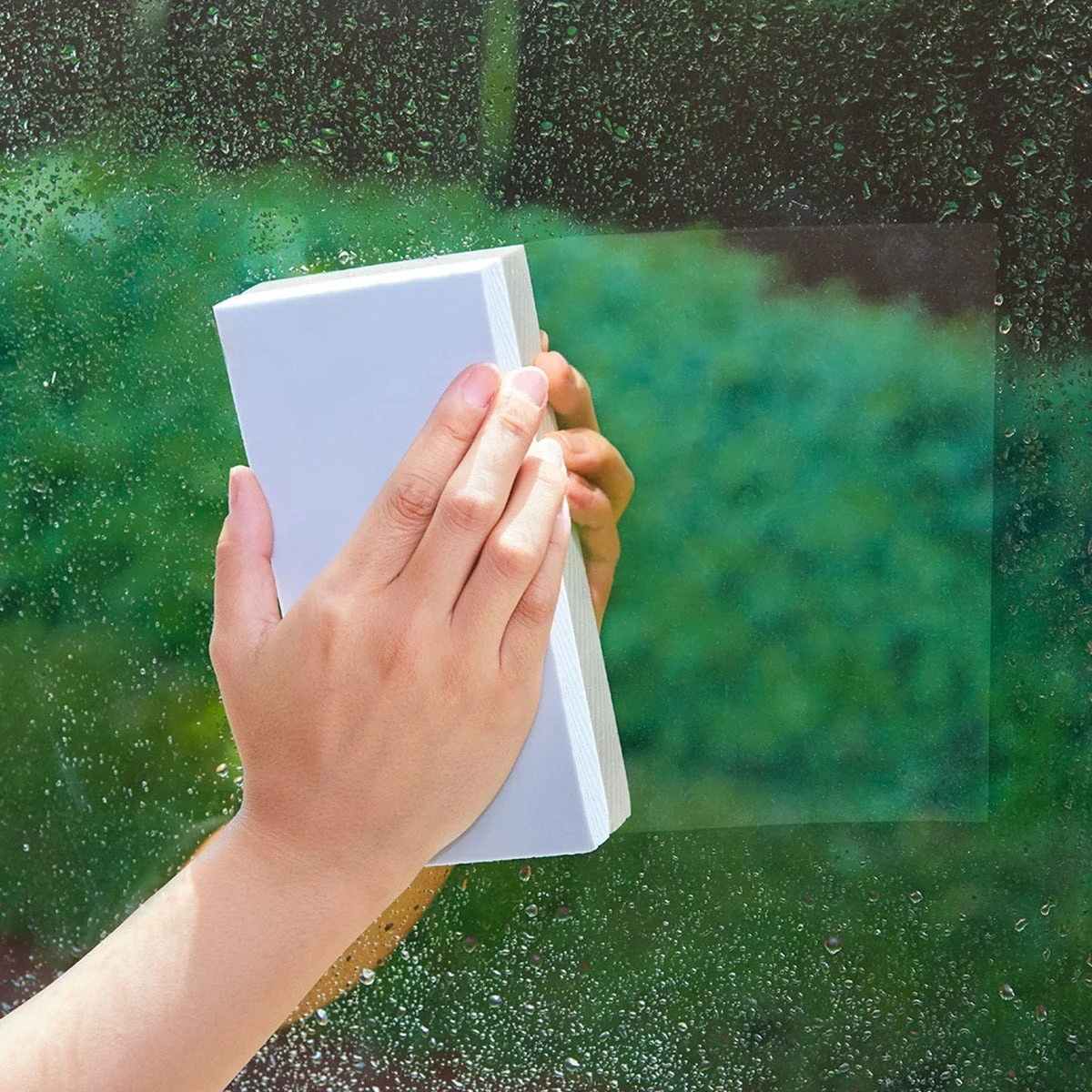 Efficient ABSORBENT SPONGE ANTIBACTERIAL 250ML Long-Lasting