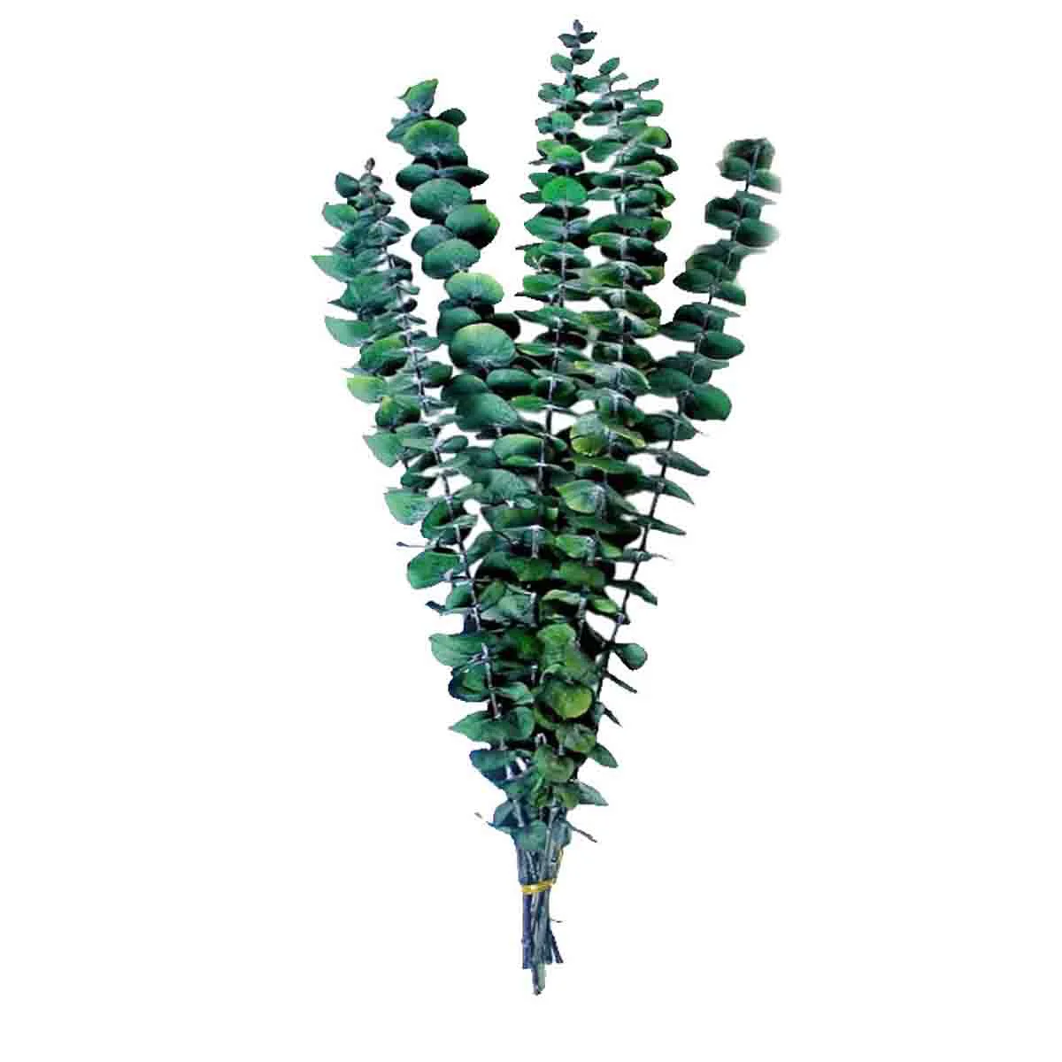 Artisan Lauren Taylor – Dry Eucalyptus Rabbit Tails Bouquet Consistent