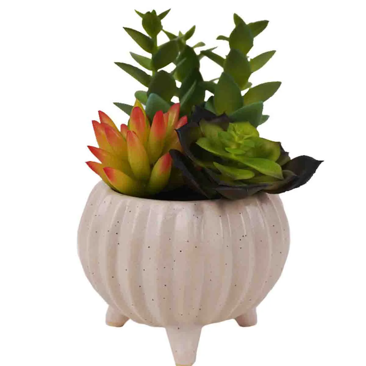 Excellent Artificial Succulent Plants in White Ceramic Footed Pot Fast