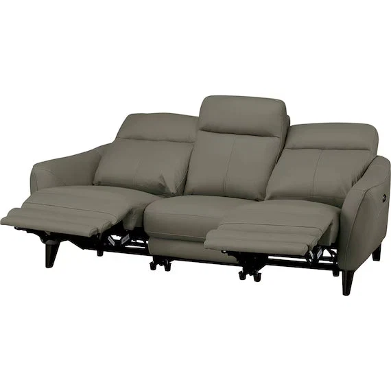 Healthy ELECTRIC 3 SEATER SOFA LS06 NW DGR Specialty