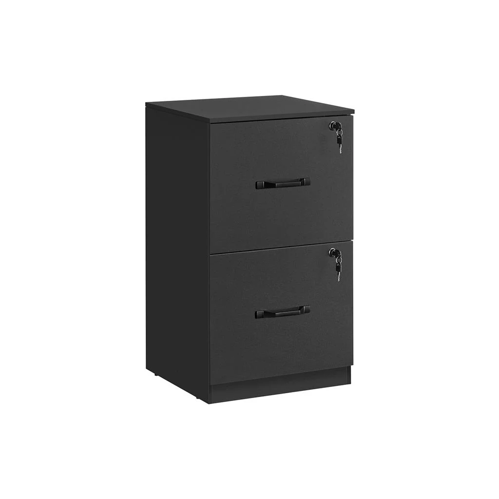 Exclusive VASAGLE 2-Drawer Vertical File Cabinet Efficient