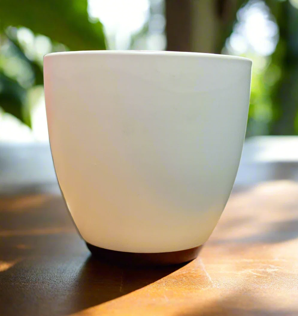 Convenient LILY CACHE POT 6.5 quot MATTE WHITE Specialty