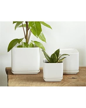 Unique PALM SPRINGS 5.5 quot CUBE POT MWH Certified