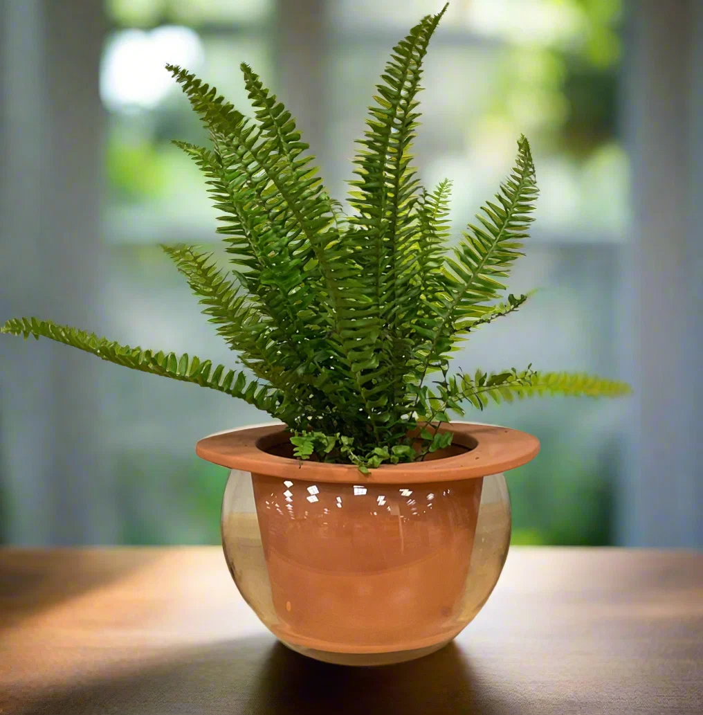 Unique TERRA SELF WATERING PLNTR 8.75 quot Luxury