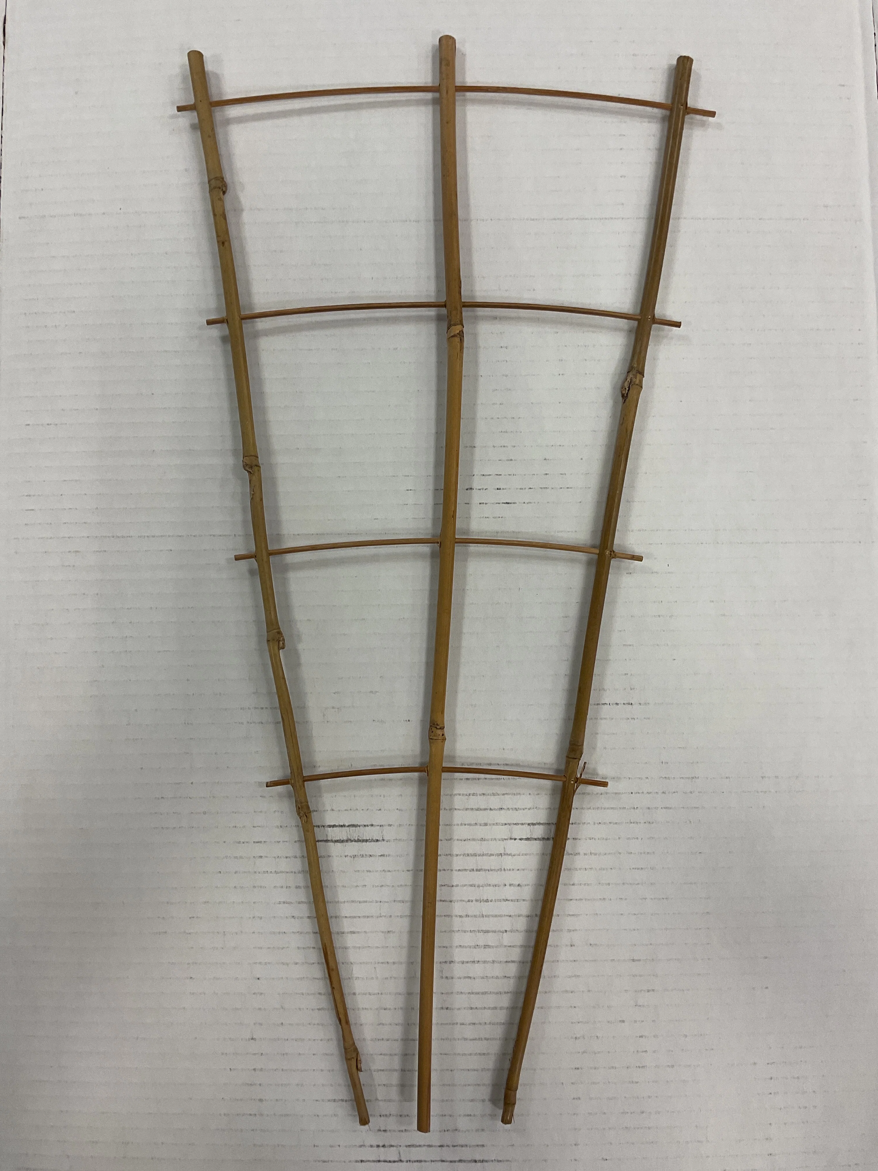 Professional BAMBOO FAN TRELLIS 24 quot Smart