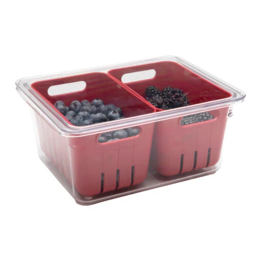 Responsible CLEAR BIN W BERRY BASKETS Premium