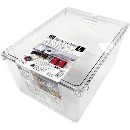 Solid CLEAR STORAGE CONTAINER LARGE Sophisticated
