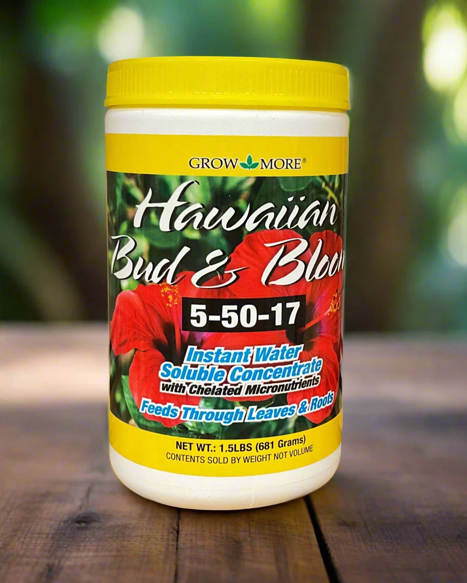 Healthy HAWAIIAN BUD amp BLOOM 1.5LBS Trendy