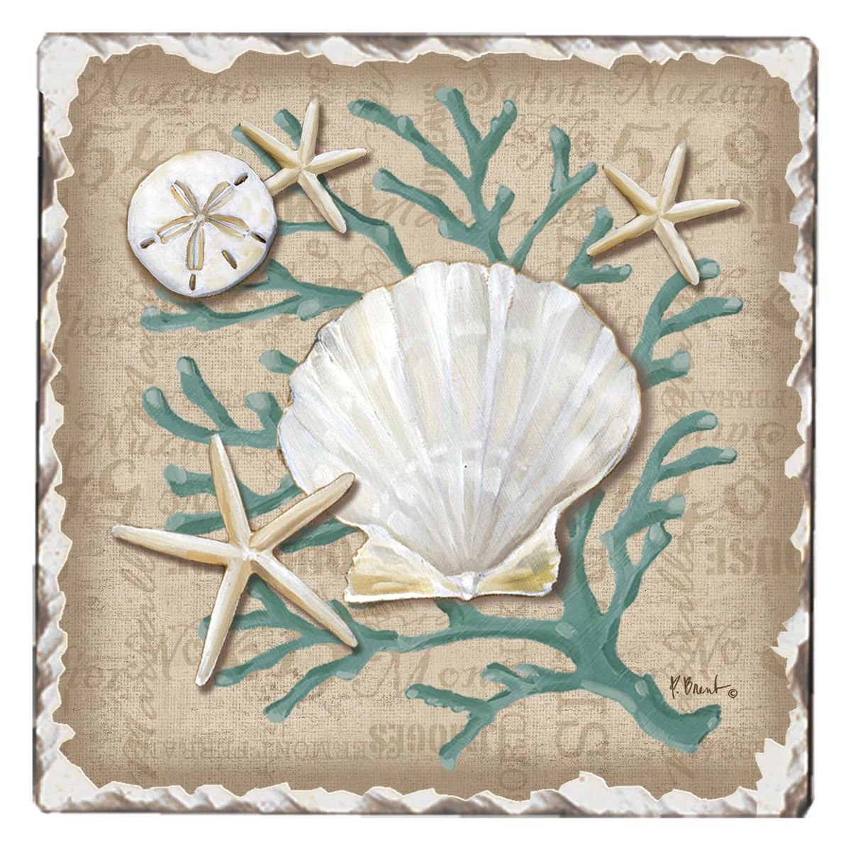 Trusted COASTER LINEN SHELLS Elegant