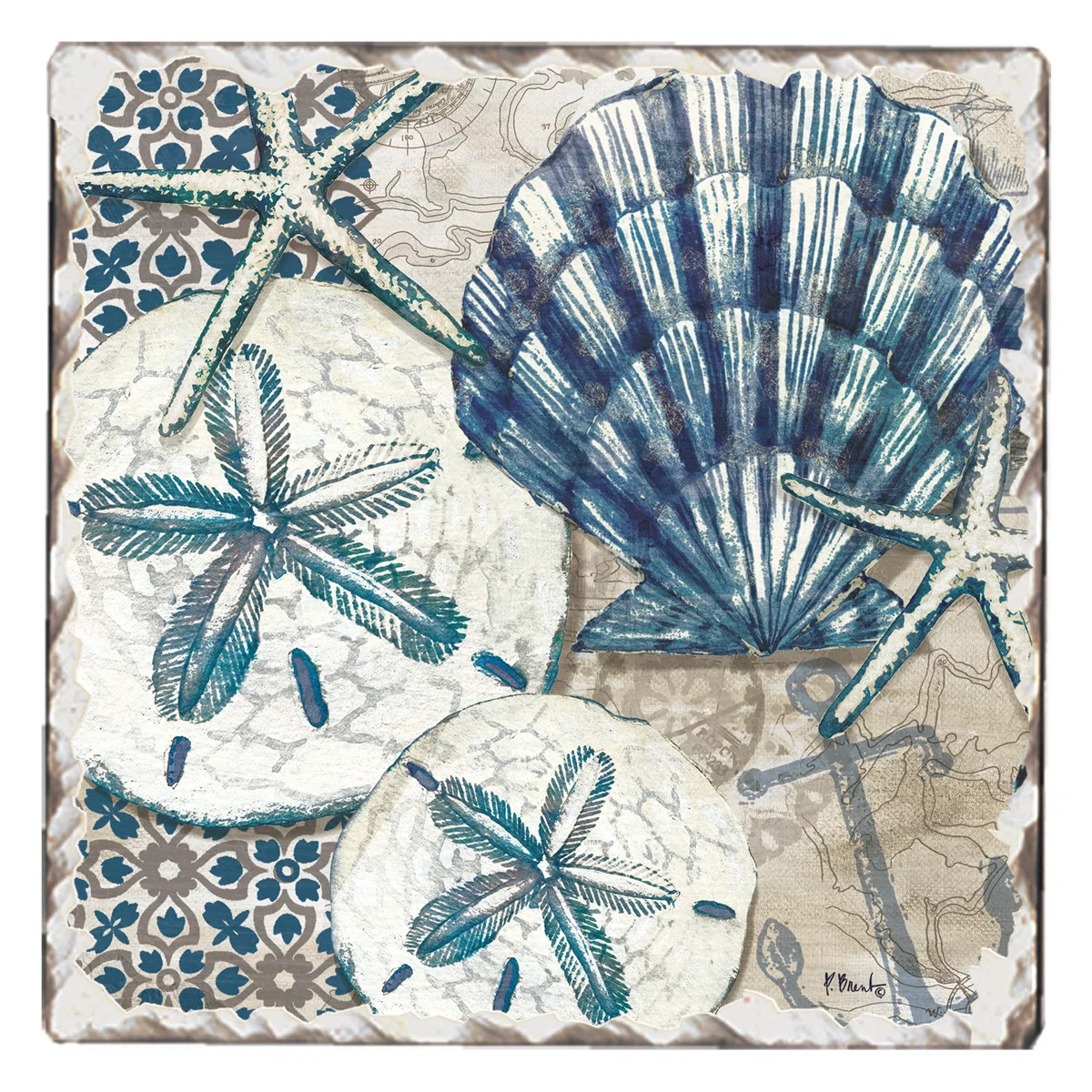 Optimized COASTER TIDE POOL SHELLS Trusted