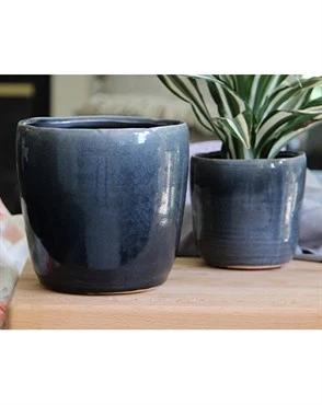 High-End JEWEL FORM 4.5 quot POT BLUE Healthy