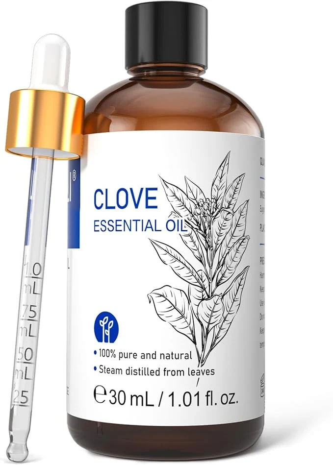 Green HIQILI 1 Fl Oz Clove Oil for Teeth and Gums Oral Care DIY Clean Spray Premium Material