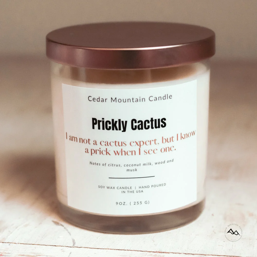 Carefully Designed I am Not a Cactus Expert but I know a Prick when I See One – 9 oz Soy Candle Luxury