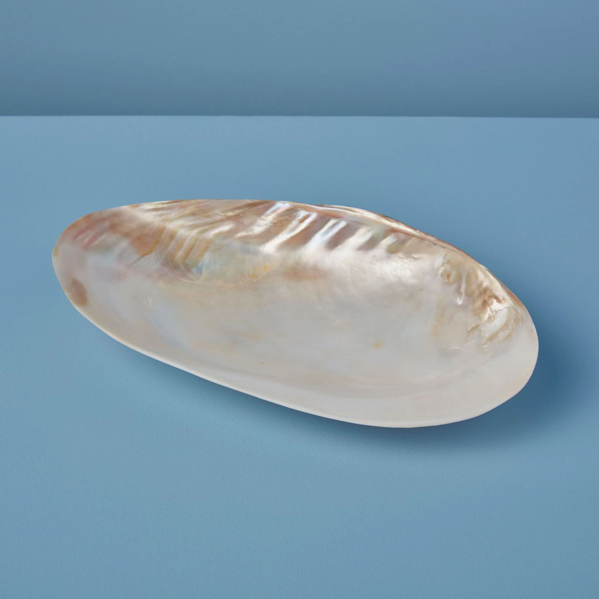World-Class Seashell Footed Dish Convenient