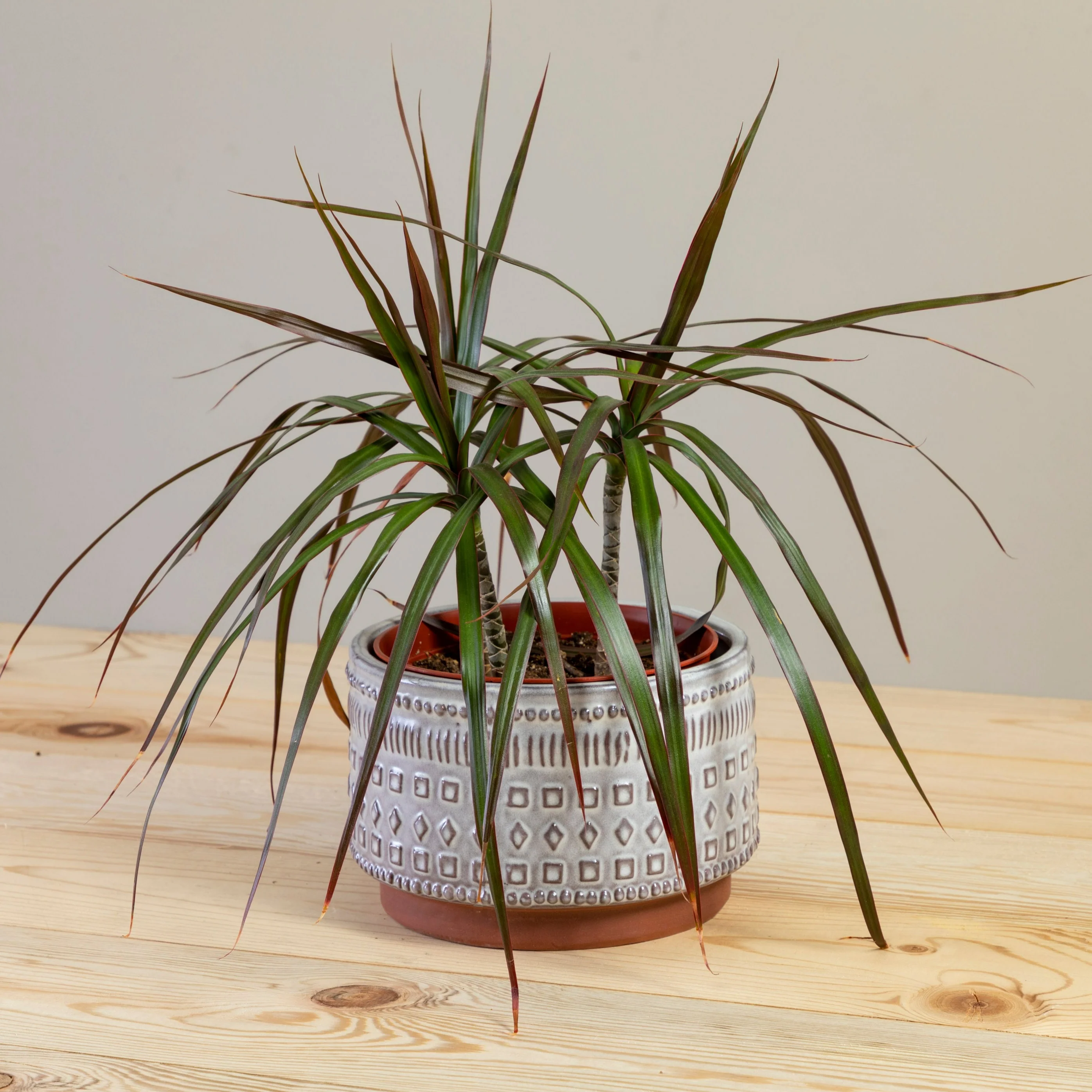 Authentic Freja Pot Large High-Grade