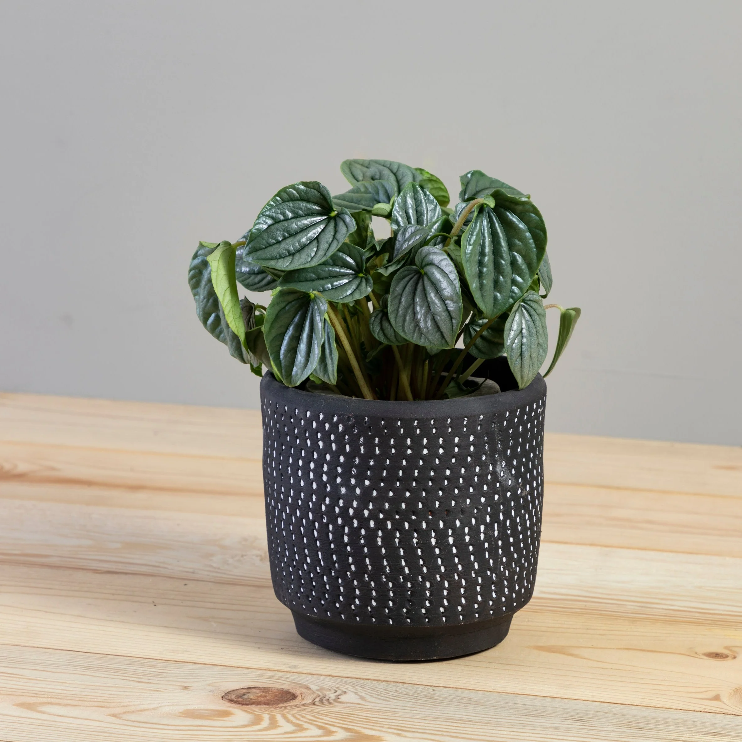 Quality Delrado Pot Large Lightweight