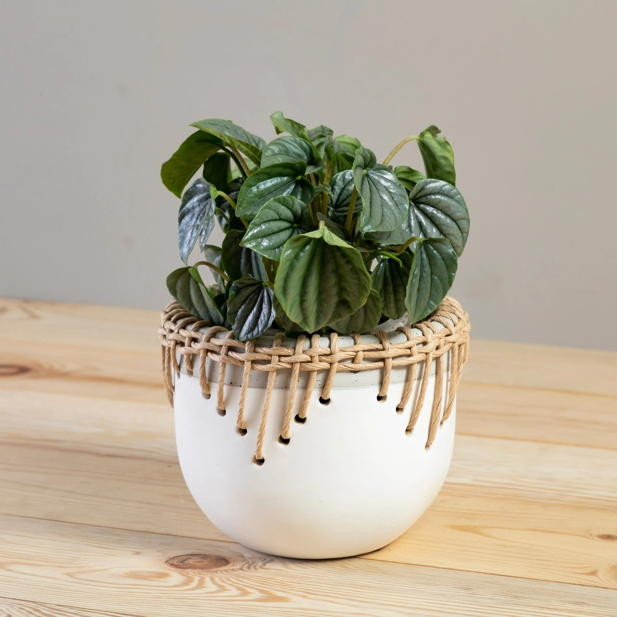 High-End Hideaway Pot Effective