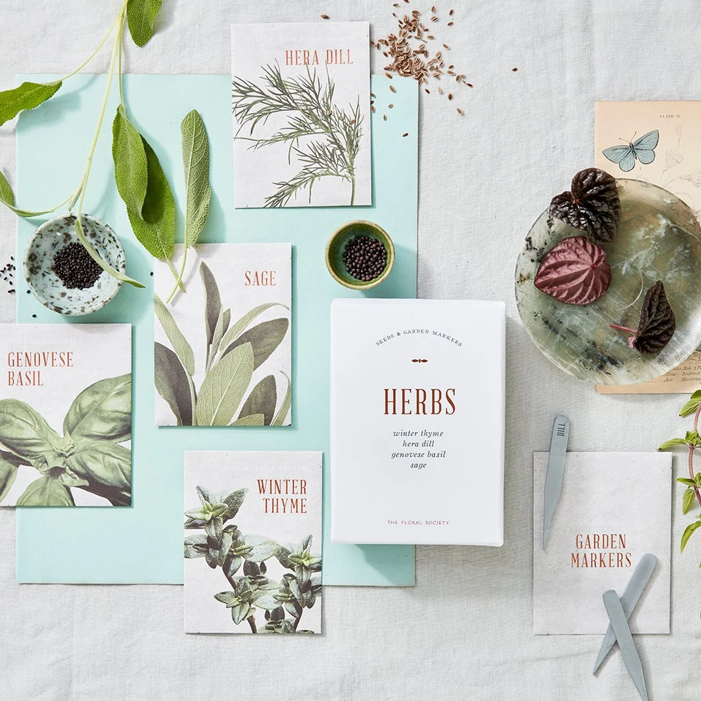 Quality Herb Seed Kit Luxury