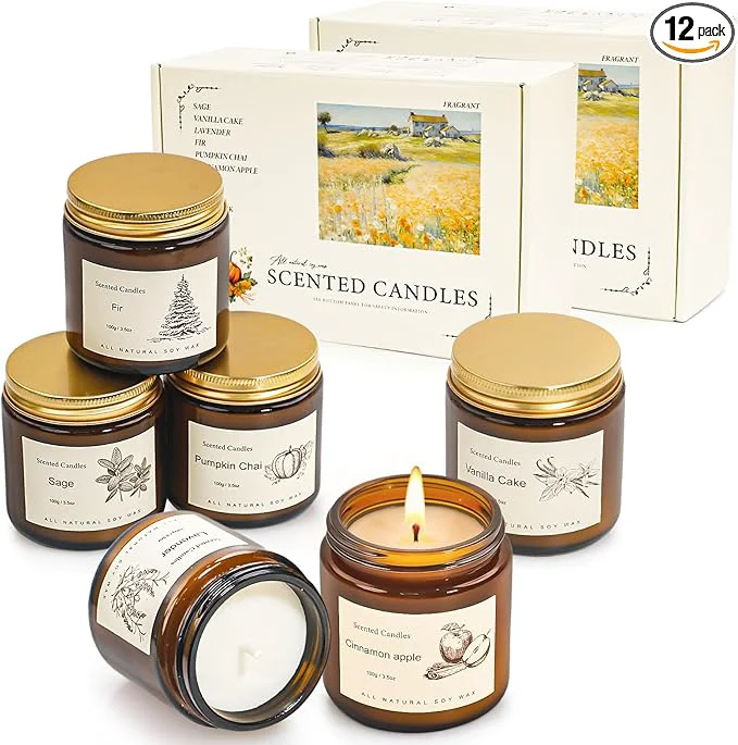 Advanced Scented Candles Gift Set for Home 12 Pack Aromatherapy Soy Candles 6 Selected