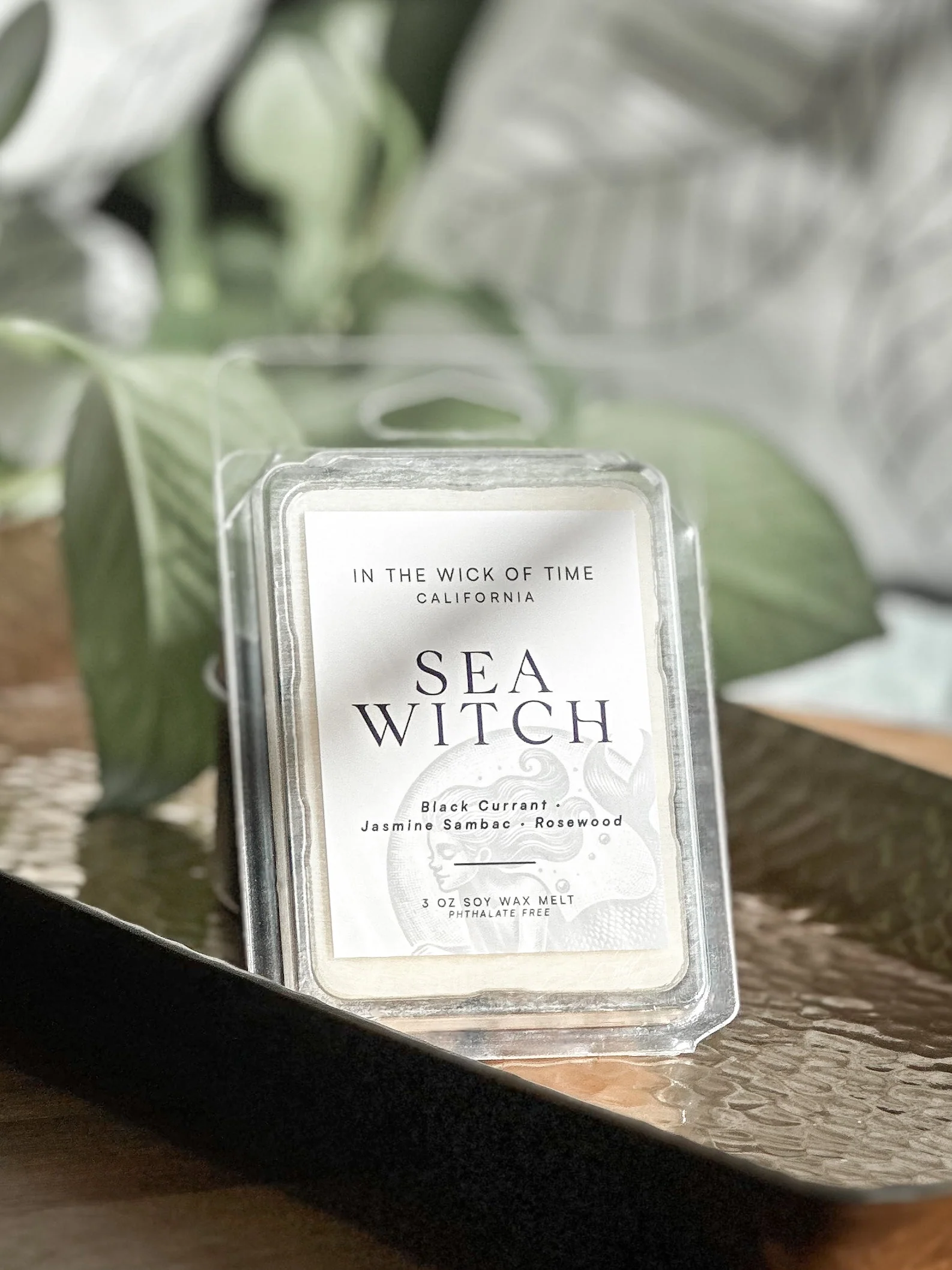 Next-Generation Sea Witch Wax Melt First-Class
