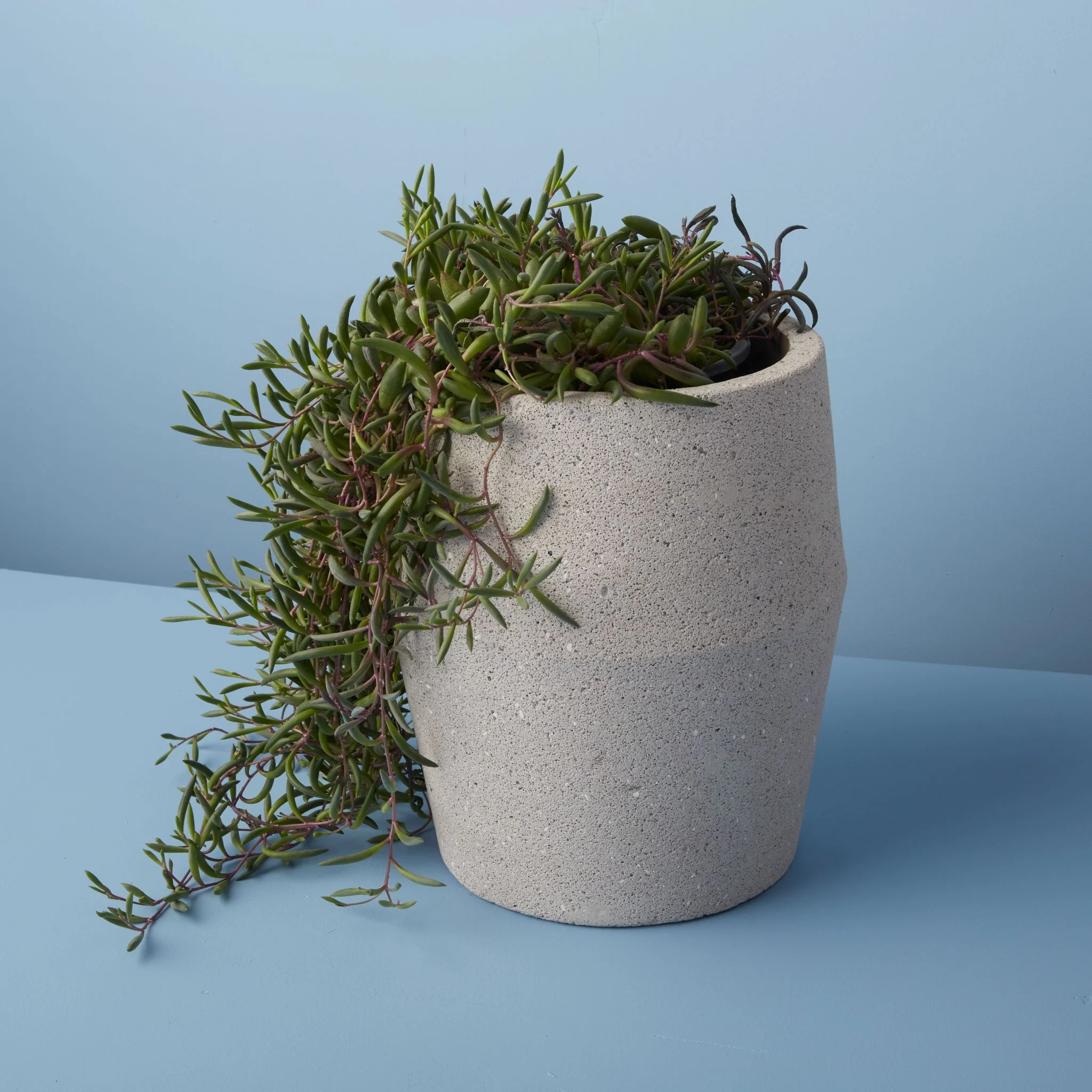 Verified Amadeo Cement Planter Luxury