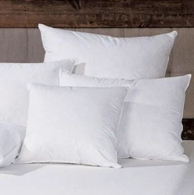 Premium Euro Pillow Insert Practical