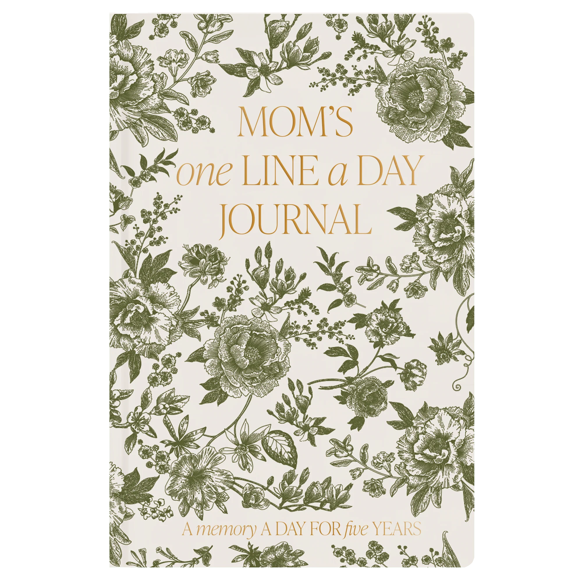 Healthy Mom 39 s One Line A Day Green Delft Leather Journal Elegant
