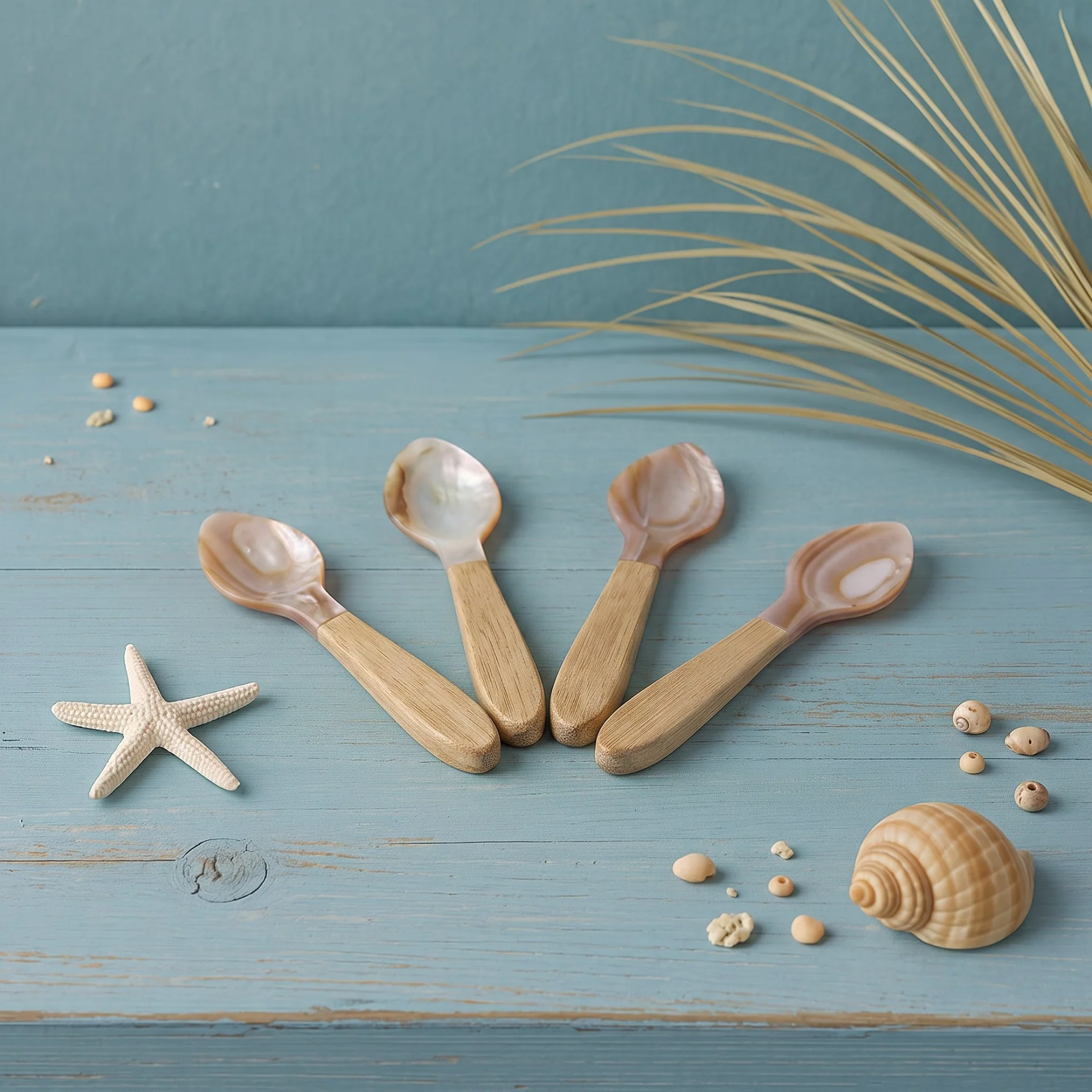 Secure Serin Shell Small Spoons Set of 4 Fine
