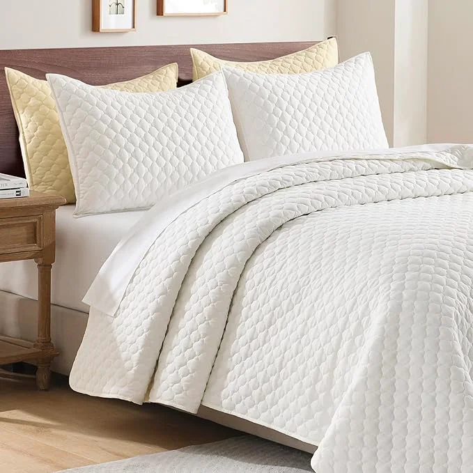 Stylish HORIMOTE HOME Cream Quilt Queen Size Lightweight Quilts for Summer Ultra-Soft Microfiber Modern Style Quilted Clouds Pattern Bedspread Quit Set 3 Pieces 1 Quilt and 2 Pillow Shams High-End