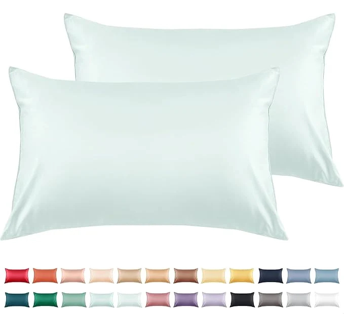 Trendy Warmstar Cotton Pillow Cases Queen Size Set of 2 600 Thread Count Pillowcases 20×30 Inches Soft Long Staple Cotton Pillowcases Breathable with Envelope Closure Sky Blue Pure