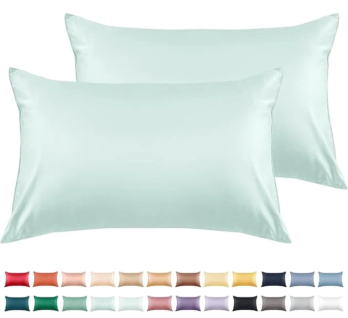 Specialty Warmstar Cotton Pillow Cases Queen Size Set of 2 600 Thread Count Pillowcases 20×30 Inches Soft Long Staple Cotton Pillowcases Breathable with Envelope Closure Lagoon High-Quality