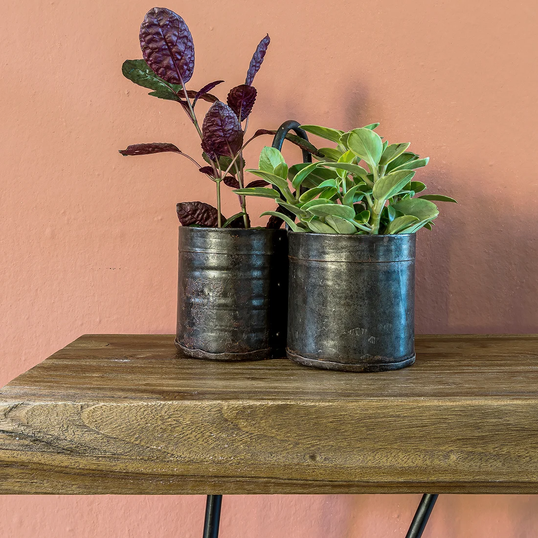 Safe Iron vegetable holder double Modern