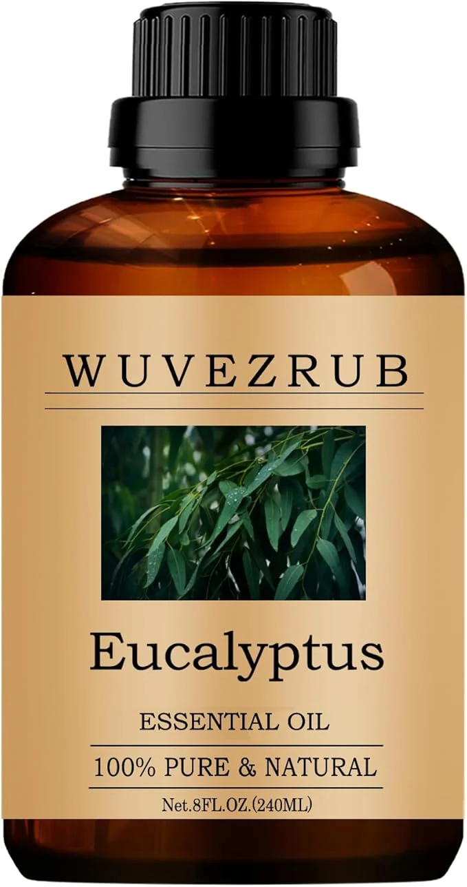 Contemporary Eucalyptus Essential Oils 240ML Pure and Natural Essential Oil Smooth