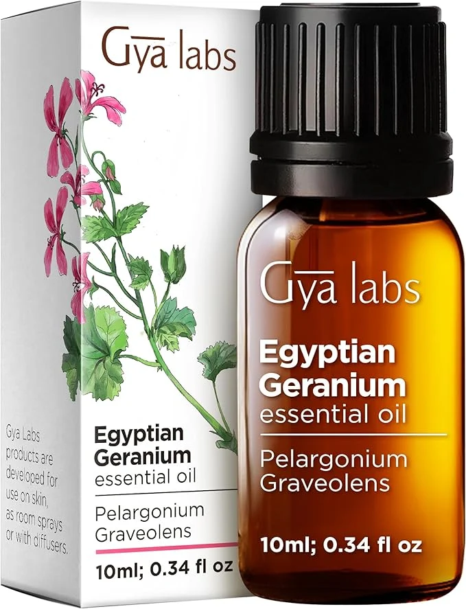 Contemporary Pure Egyptian Geranium Essential Oil Smooth
