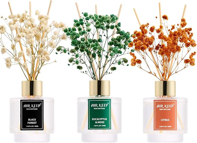 Modern Airkeep Reed Diffuser Set of 3 Responsible
