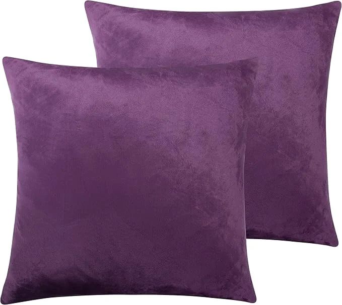 Fine NTBAY Velvet 2 Pack Square Zippered Throw Pillow Covers Super Soft and Luxury Euro Cushion Covers for Sofa Couch 24×24 Inches Purple Pure